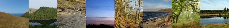 banner photos of some recording locations